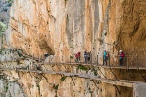 alter camino del rey