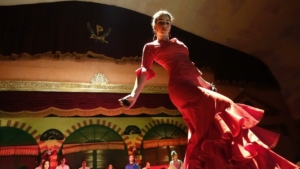 flamenco