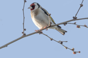 naturpark huelva