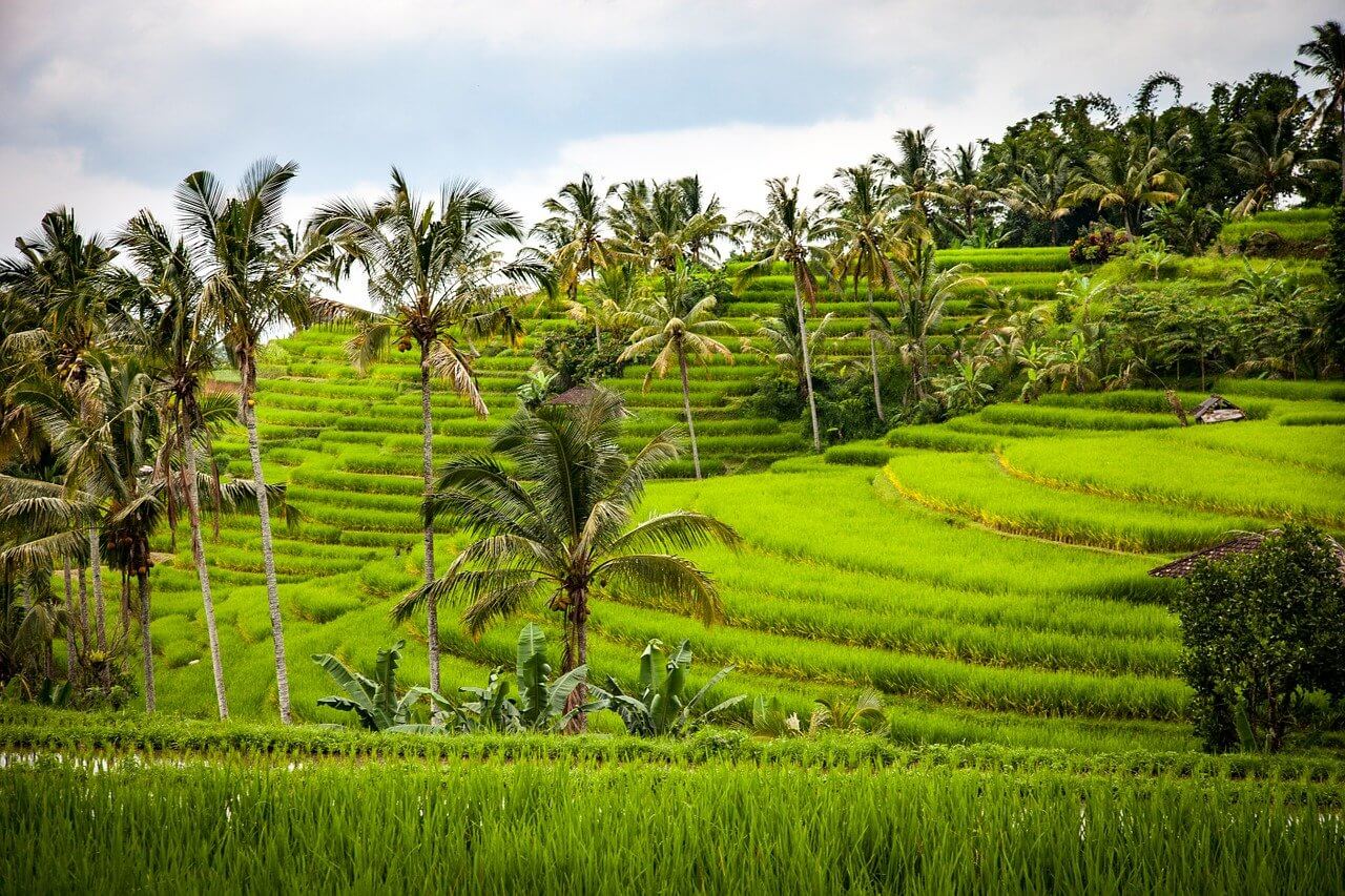 reiseziel indonesien